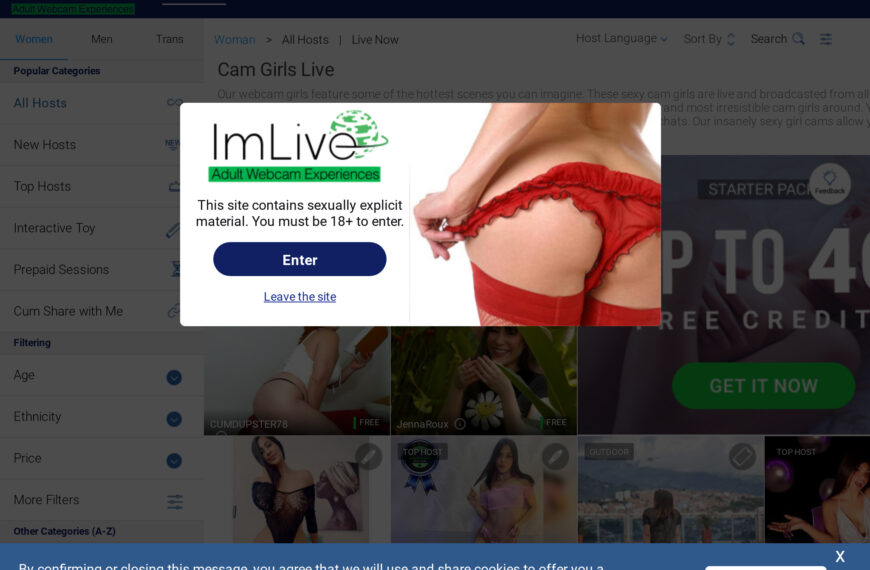 ImLive Review: een diepgaande blik op het online datingplatform