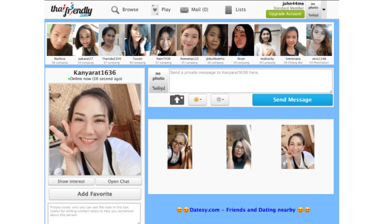 Explorando o mundo do namoro online – 2023 ThaiFriendly Review